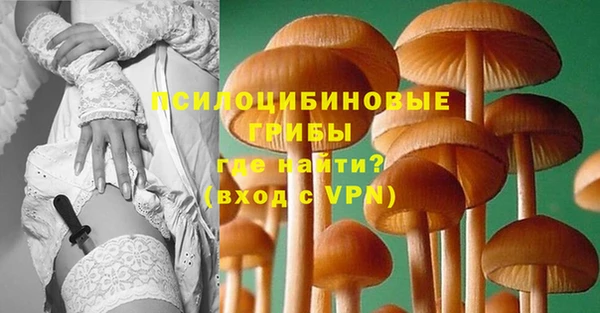 крисы Алзамай
