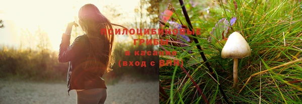 меф Алексин