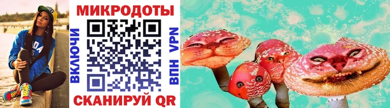 Галлюциногенные грибы GOLDEN TEACHER  блэк спрут tor  Новопавловск 