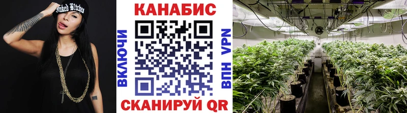 как найти закладки  Новопавловск  Бошки марихуана план 